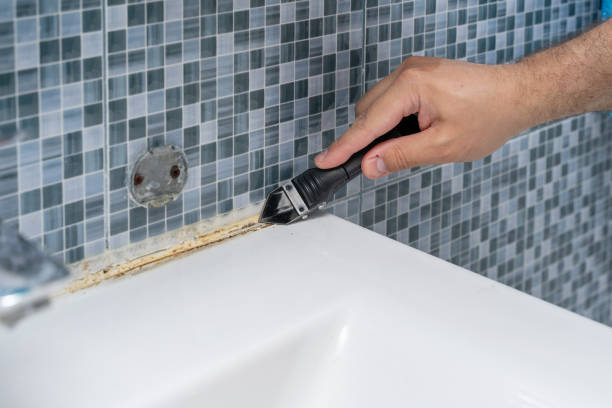 Best Affordable Mold Removal  in Lincolnwood, IL